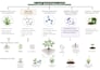 create publication ready graphical abstracts and scientific figures